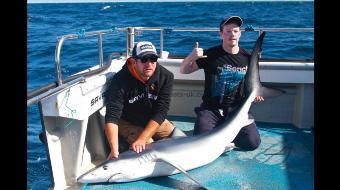 130 lb Blue Shark by Kevin McKie