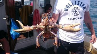 5 lb Lobster by Bob Marshall