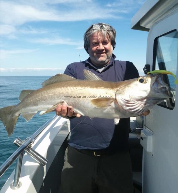 11 lb 8 oz Pollock by Darren