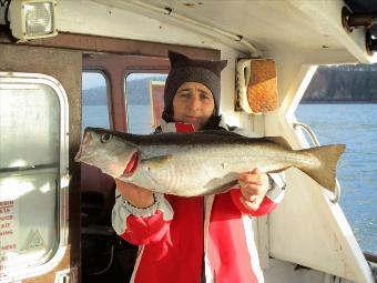 6 lb Pollock by penny