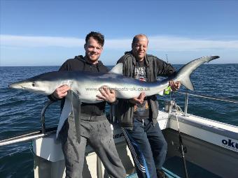 84 lb Blue Shark by Kevin McKie