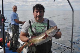 8 lb Cod by Rossario