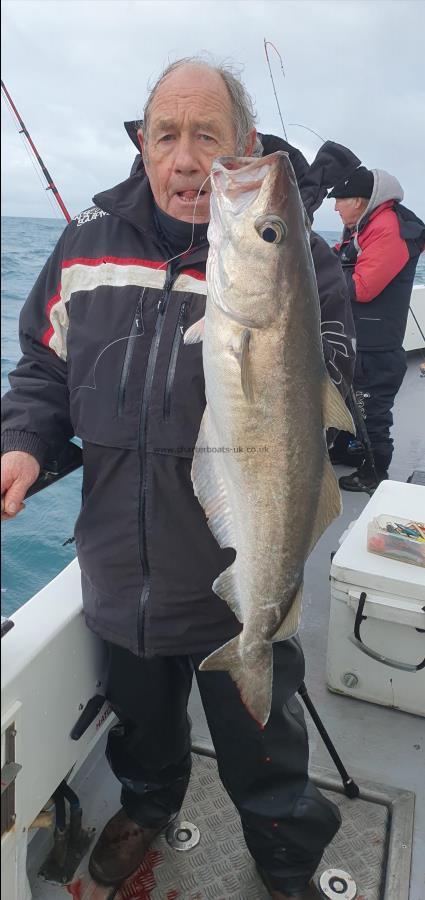 8 lb Pollock by Nick