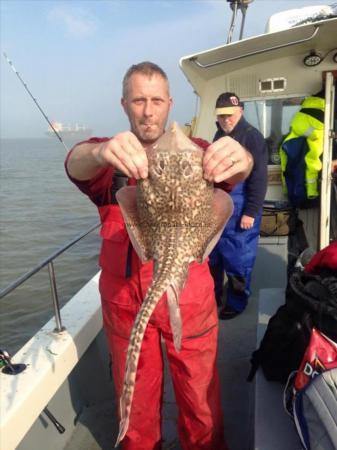 4 lb Thornback Ray by Unknown