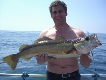 10 lb 2 oz Pollock by Unknown