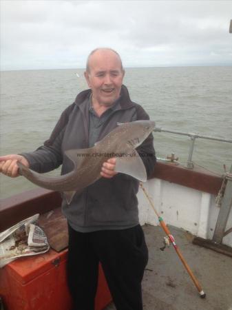 8 lb 4 oz Starry Smooth-hound by Gerald  with Starry Smoothound