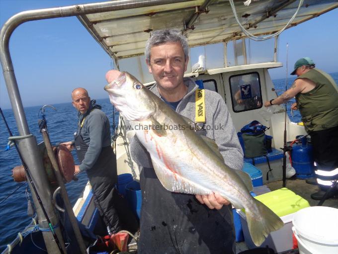 10 lb 7 oz Pollock by one of many caught by martin