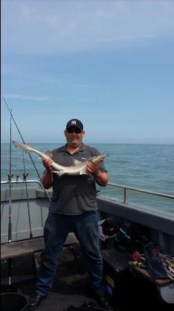 6 lb Starry Smooth-hound by Peter