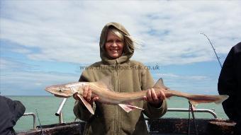 7 lb 2 oz Starry Smooth-hound by Clare