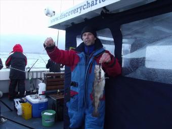 3 lb 5 oz Cod by Unknown