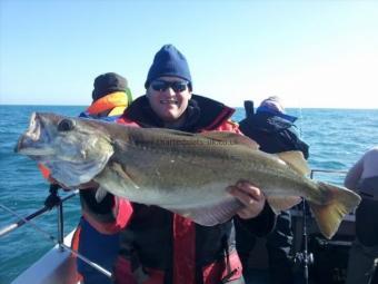 15 lb 12 oz Pollock by Neil Whicker