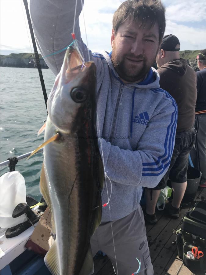 6 lb Pollock by Brendon pollock catching on HEIDI j