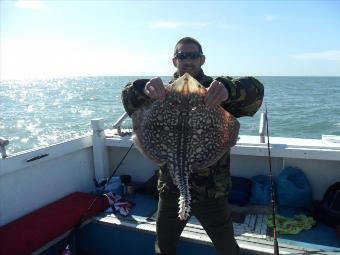 13 lb Thornback Ray by Lee-John