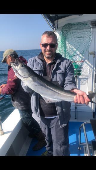 7 lb Coalfish (Coley/Saithe) by Happy angler