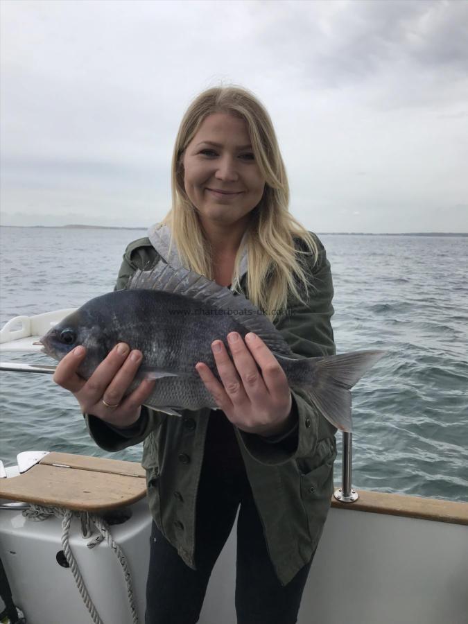 3 lb 12 oz Black Sea Bream by Michaela