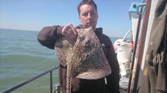 5 lb 7 oz Thornback Ray by shane from Kent