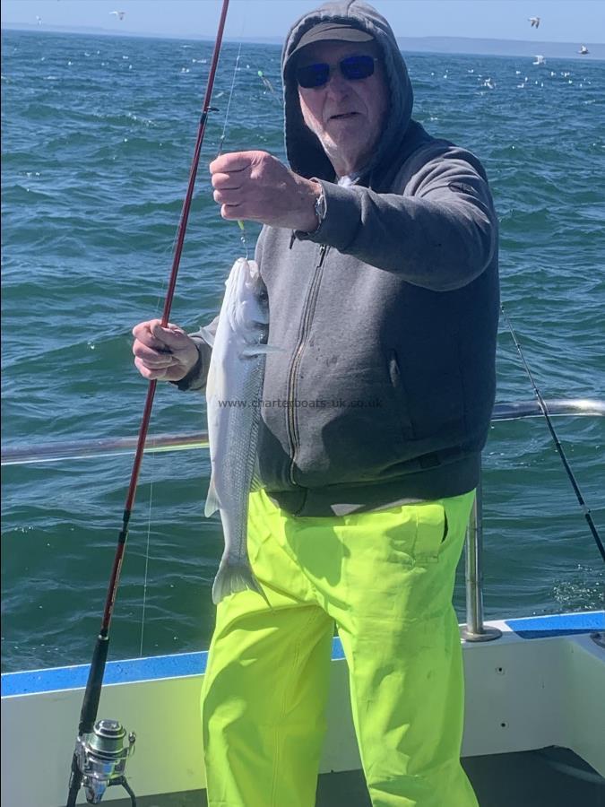 3 lb Bass by Unknown