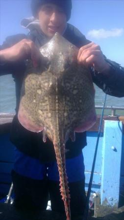 8 lb Thornback Ray by reece from chatham