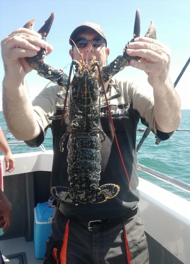 4 lb 1 oz Lobster by Steve