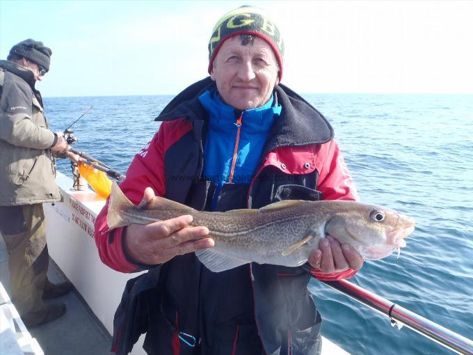 3 lb 3 oz Cod by Unknown