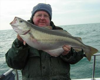 13 lb 8 oz Pollock by Bill Oliver