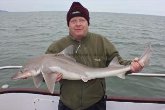 20 lb 6 oz Starry Smooth-hound by Graham
