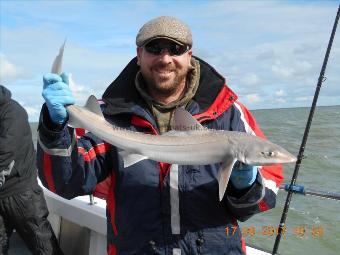 4 lb Starry Smooth-hound by Ashley