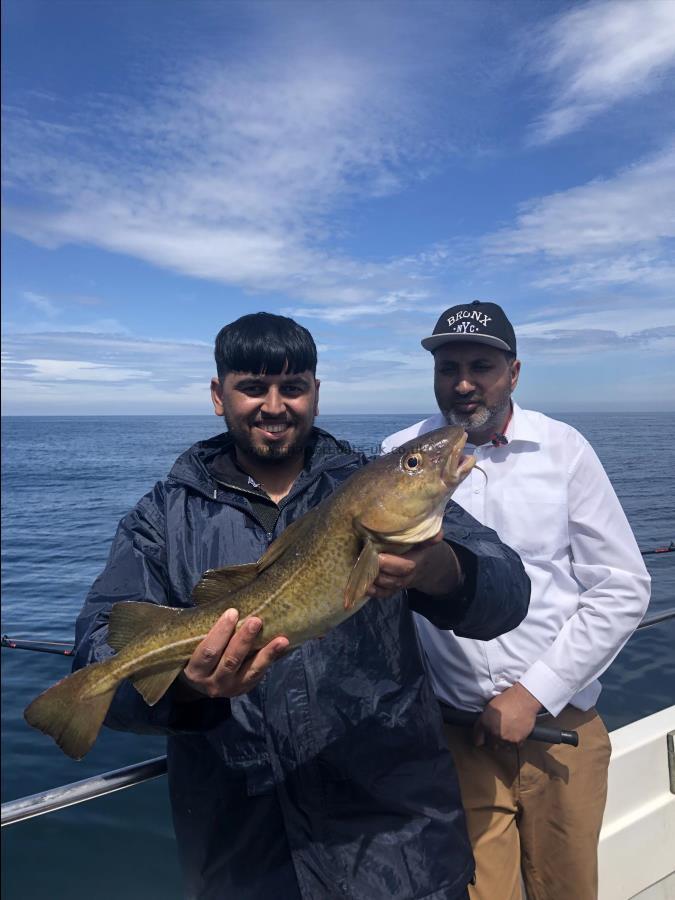 4 lb Cod by Unknown