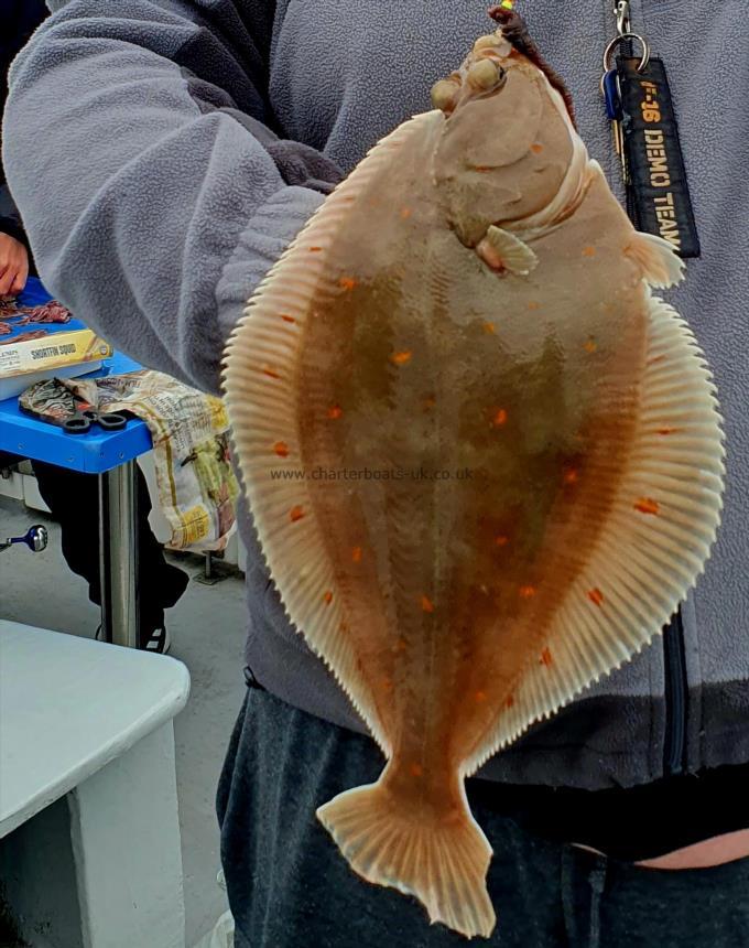 1 lb 8 oz Plaice by Unknown