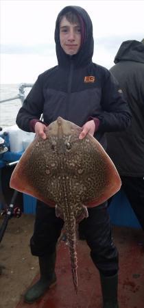 12 lb 4 oz Thornback Ray by kacey