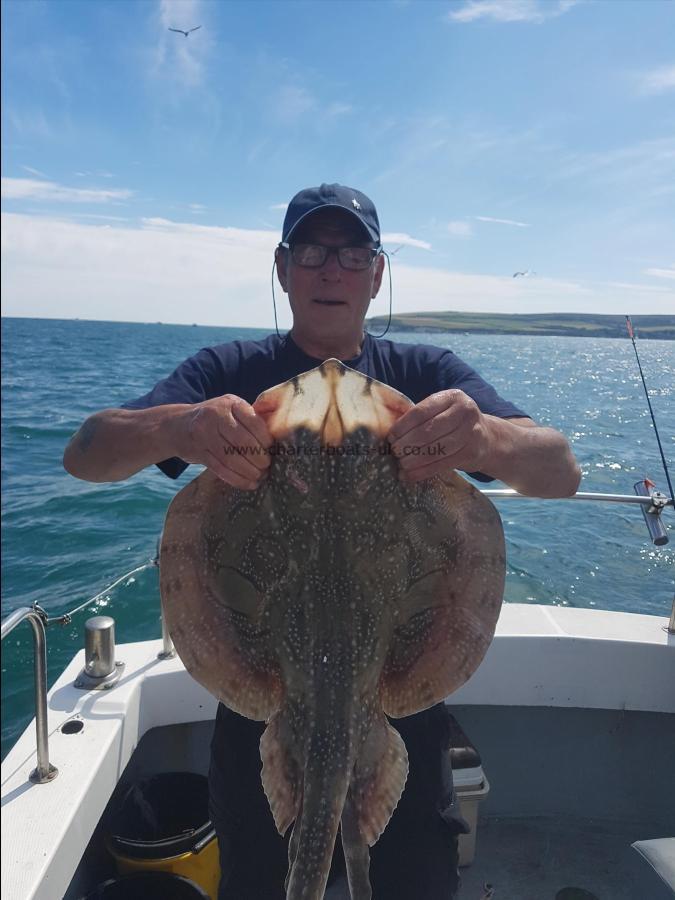 14 lb 2 oz Undulate Ray by Unknown