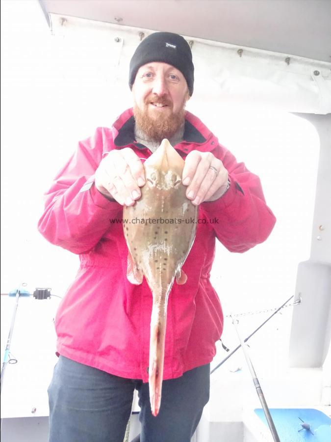 2 lb 10 oz Spotted Ray by Unknown