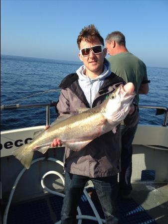 13 lb 4 oz Pollock by David Ogg