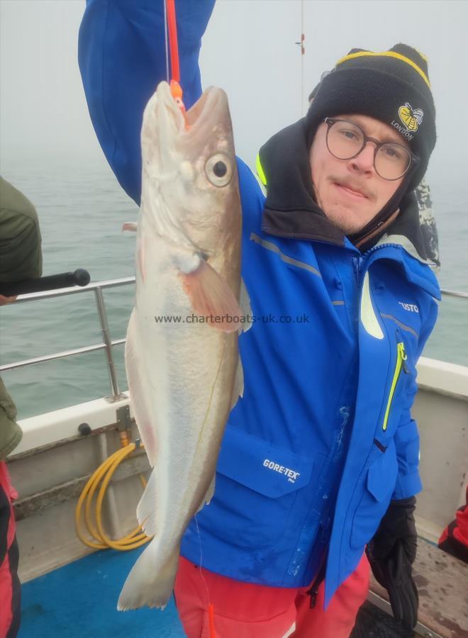 2 lb 10 oz Whiting by Dominic