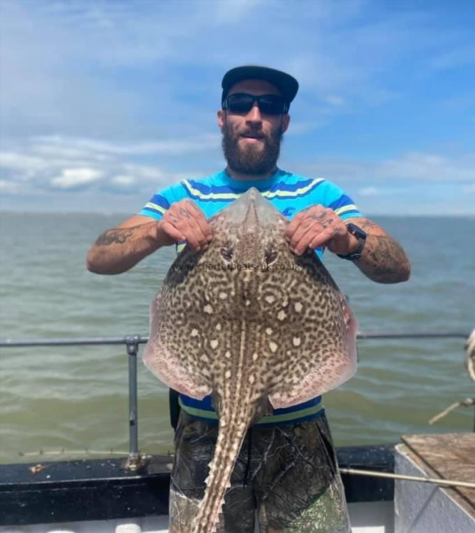 11 lb Thornback Ray by Unknown