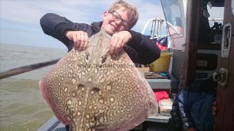 10 lb 7 oz Thornback Ray by alex from London