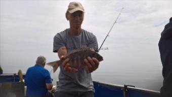 2 lb 8 oz Black Sea Bream by Stephen Wake