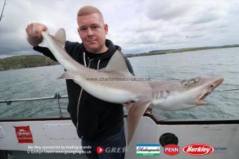 14 lb Starry Smooth-hound by Gav