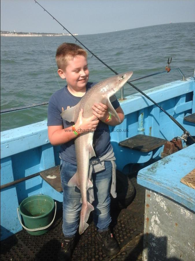 14 lb Smooth-hound (Common) by Oscar