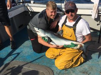 20 lb Porbeagle by Kevin McKie