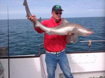 24 lb 10 oz Starry Smooth-hound by Gethyn