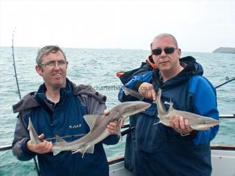 6 lb Starry Smooth-hound by Ian & Martin