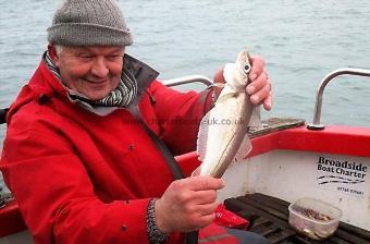 1 lb Whiting by Nigel