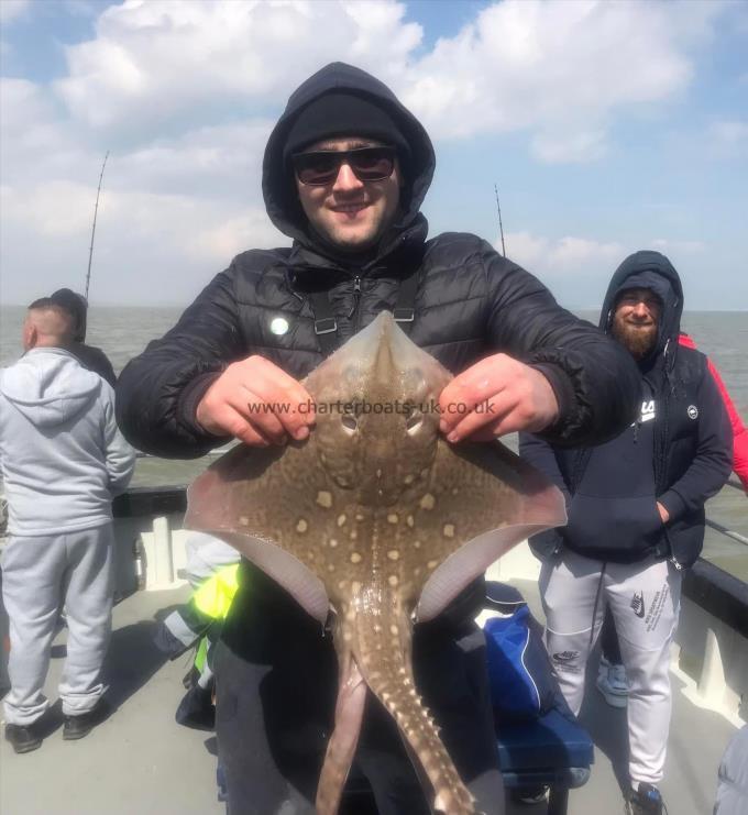 6 lb Thornback Ray by Unknown