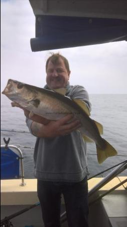 7 lb Pollock by Stephen Wake