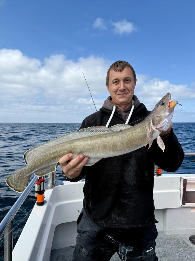 5 lb 8 oz Ling by Simon West