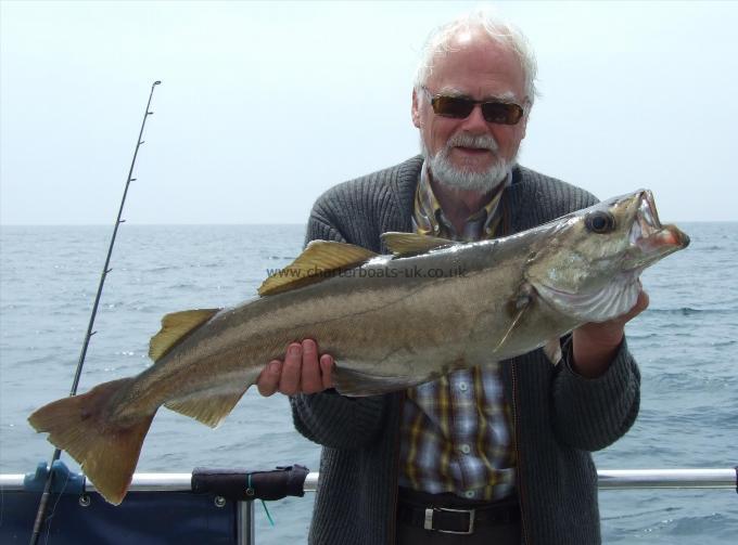 11 lb Pollock by Graham Johnson