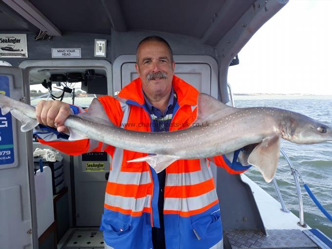 6 lb 5 oz Starry Smooth-hound by Paul Layton