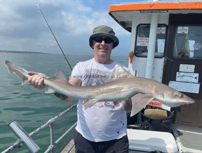 11 lb Smooth-hound by Unknown