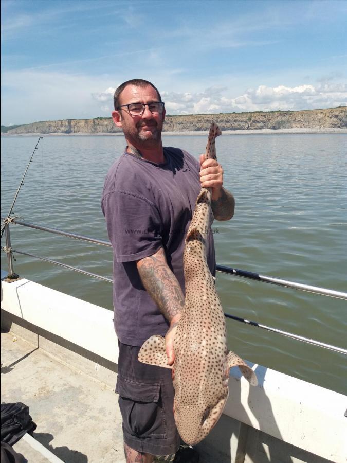 14 lb 4 oz Bull Huss by peter bowen